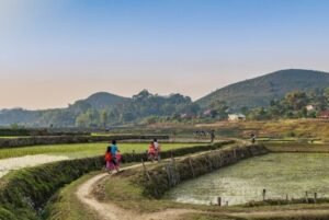 Pengertian dan Jenis Lahan Sawah Pasang Surut