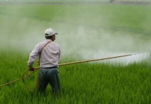 Bahaya Penggunaan Pestisida Berlebihan