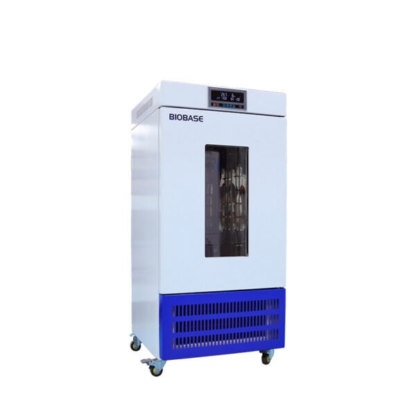 Mould Incubator(BJPX-MN) - Image 3