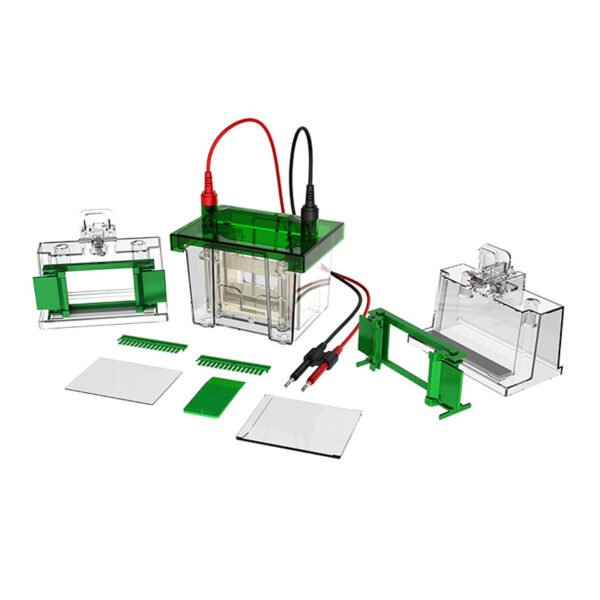 Vertical Electrophoresis Tank BK-VET01