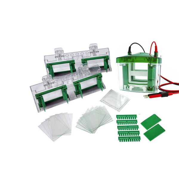 Vertical Electrophoresis Tank BK-VET02