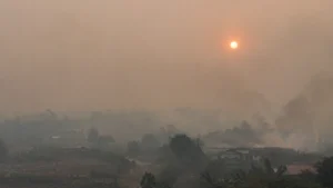 asap efek karhutla pelajari cara membaca sebaran asap dan cara mitigasi bencana